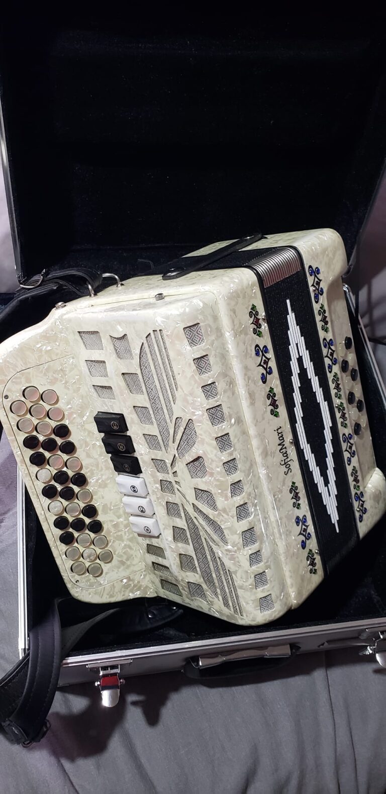 ACCORDION SOFIA MARI 2 TONES FOR SALE (7)