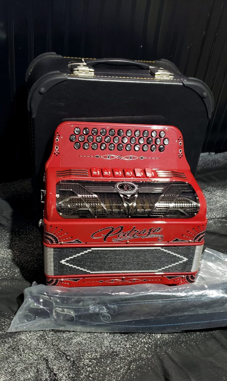 CHEAP ACCORDION FORVSALE (2)