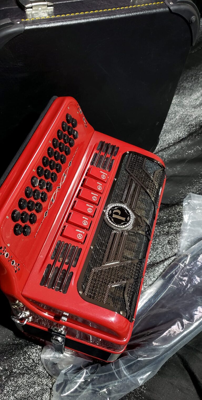 CHEAP ACCORDION FORVSALE (4)