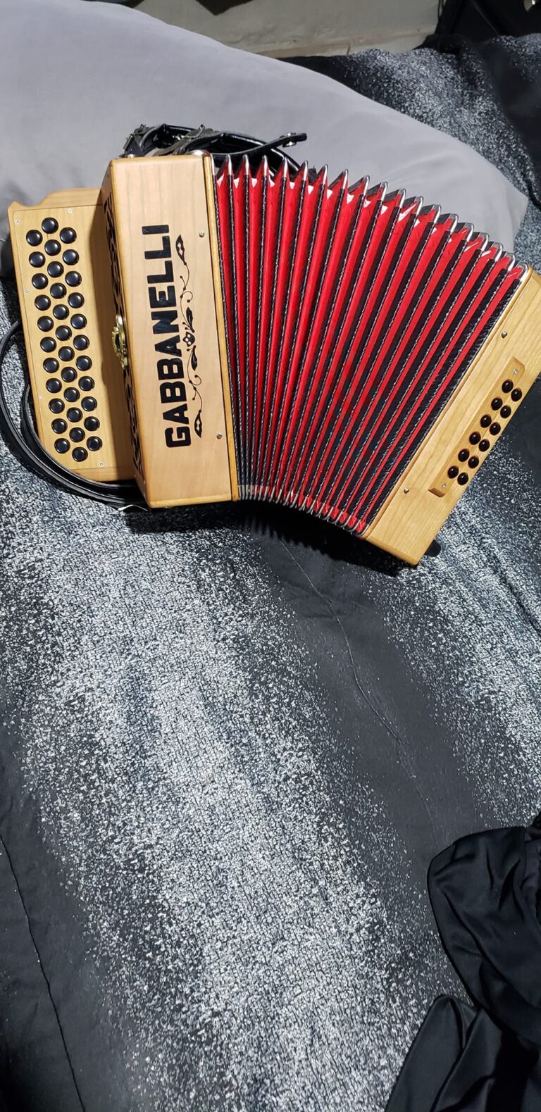 GABBANELLI ACCORDION (5)