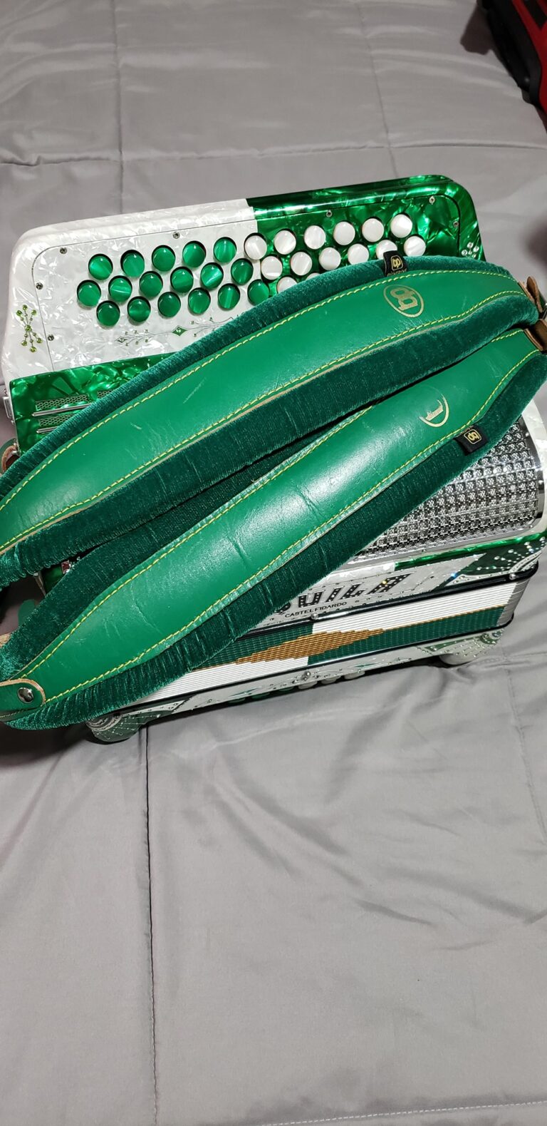 ROUILA ACCORDION FOR SALE (9)