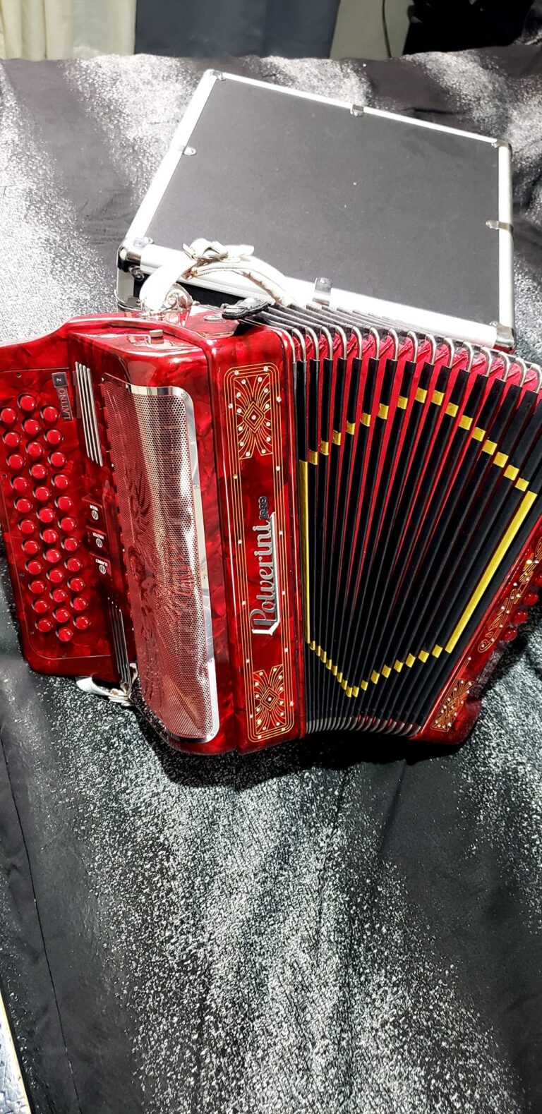 latino dusts accordions for sale (2)