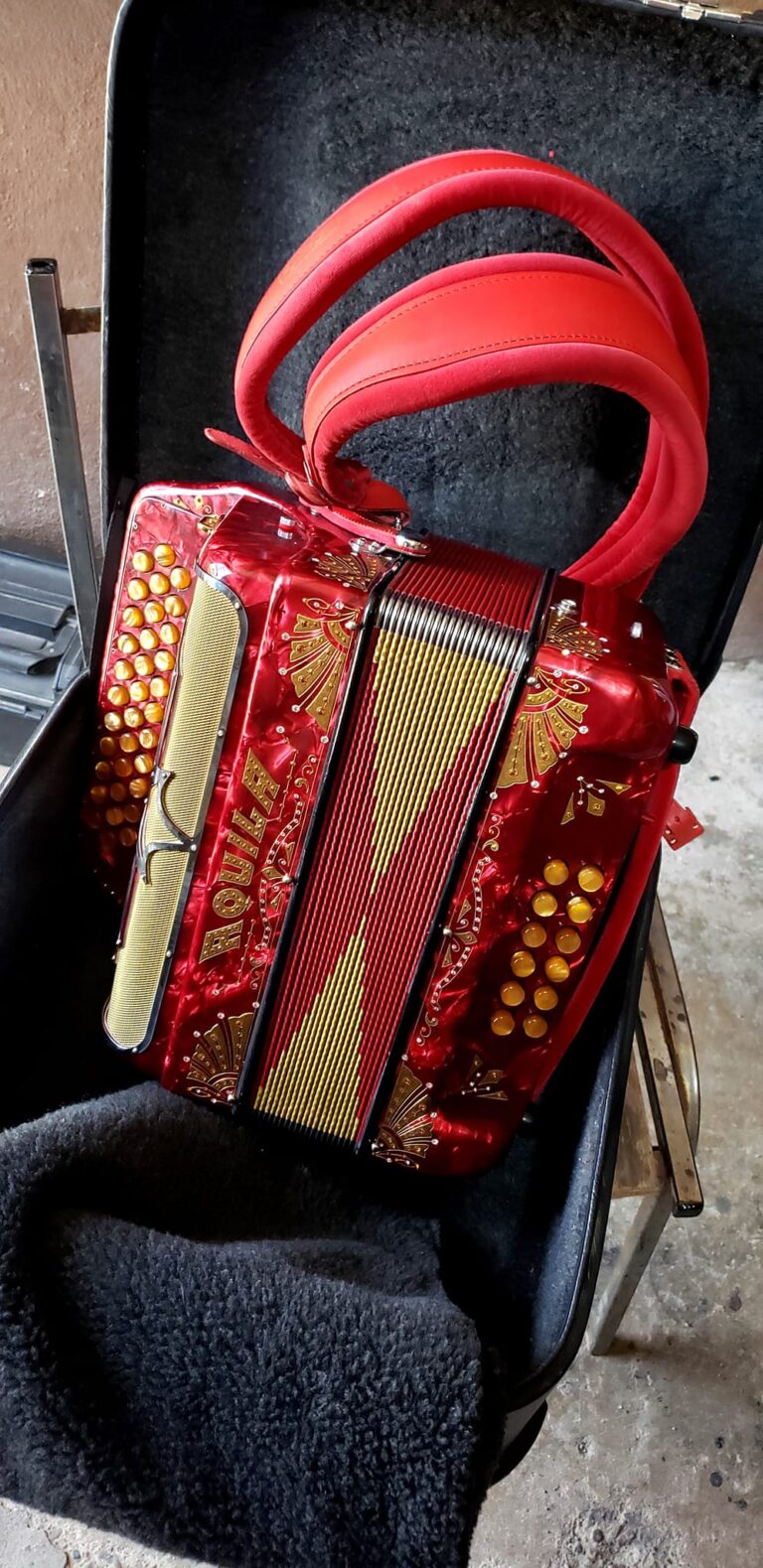 Aquila tone accordion for sale (2)