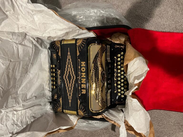 BEST ACCORDIONS FOR SALE (6)