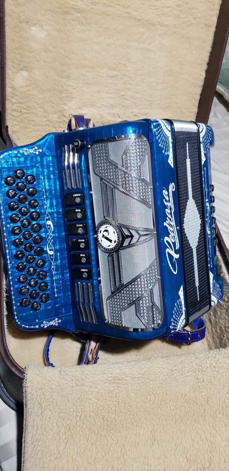 BLUE ACCORDION FOR SALE (2)