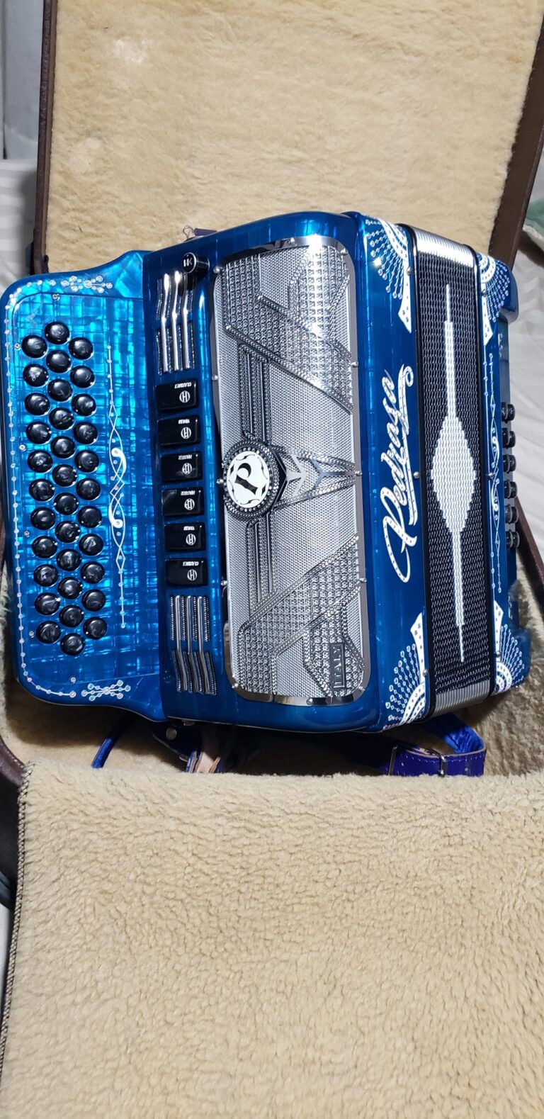 BLUE ACCORDION FOR SALE (5)