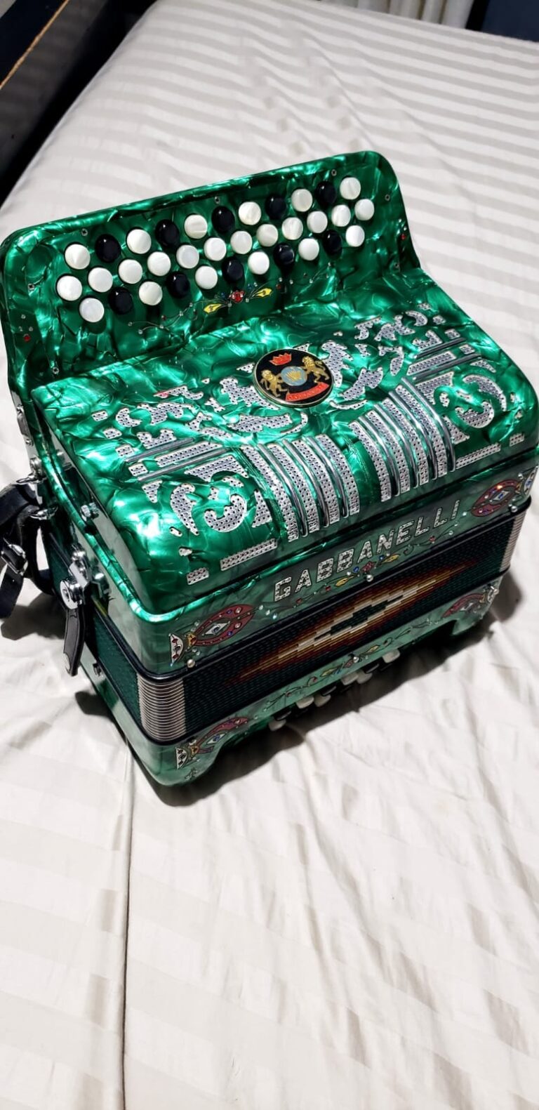 green gabbanelli accordion for sale (5)