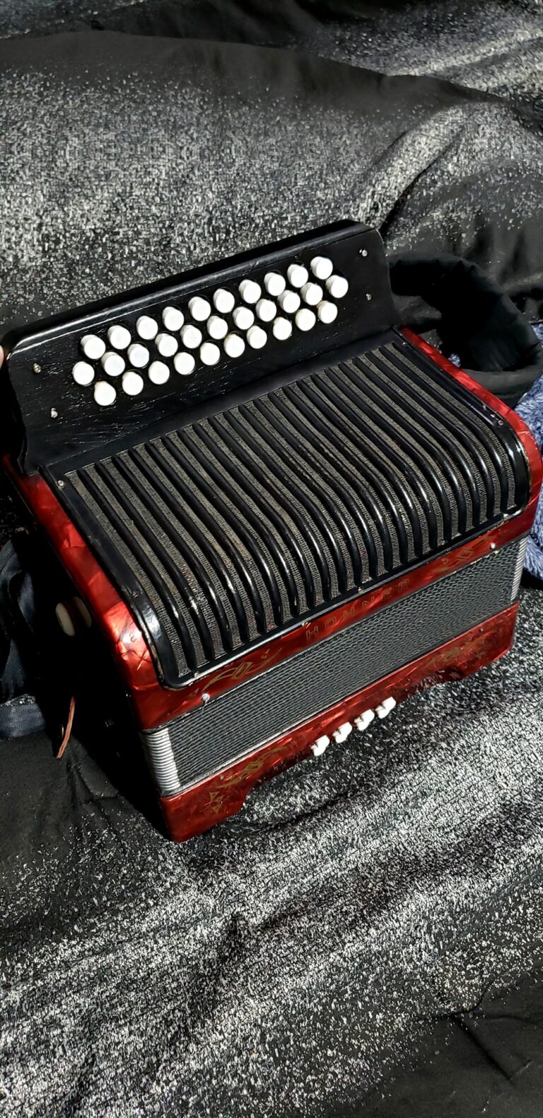 hohner accordion (10)