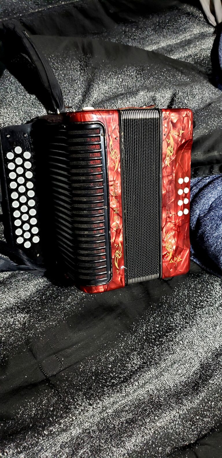 hohner accordion (2)