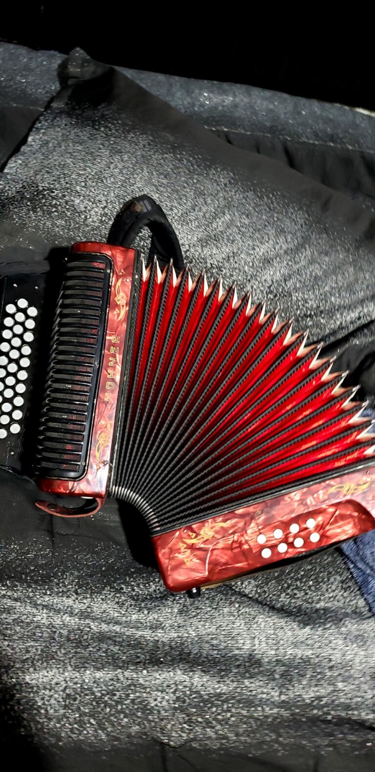 hohner accordion (3)