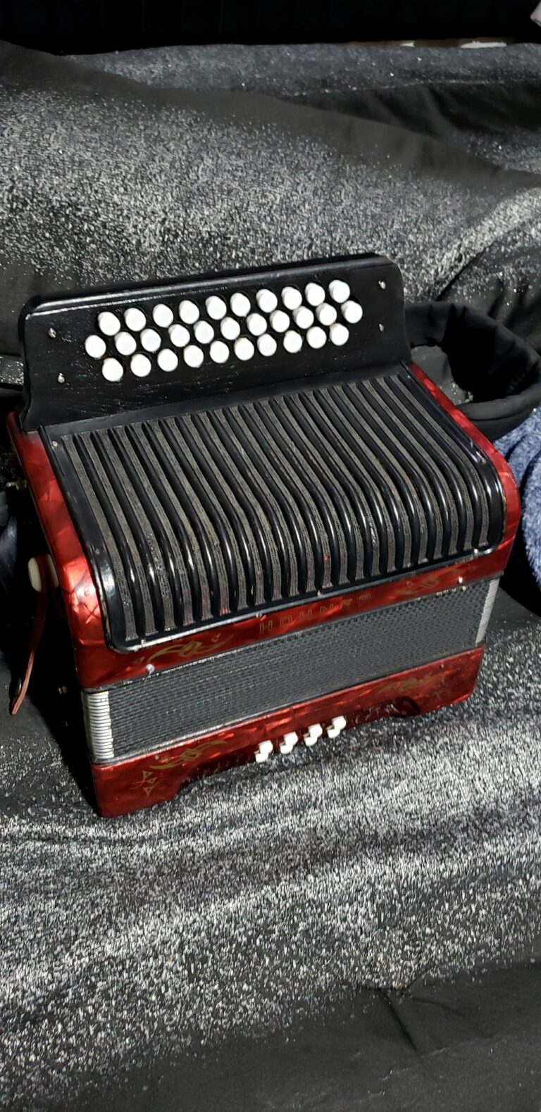 hohner accordion (4)