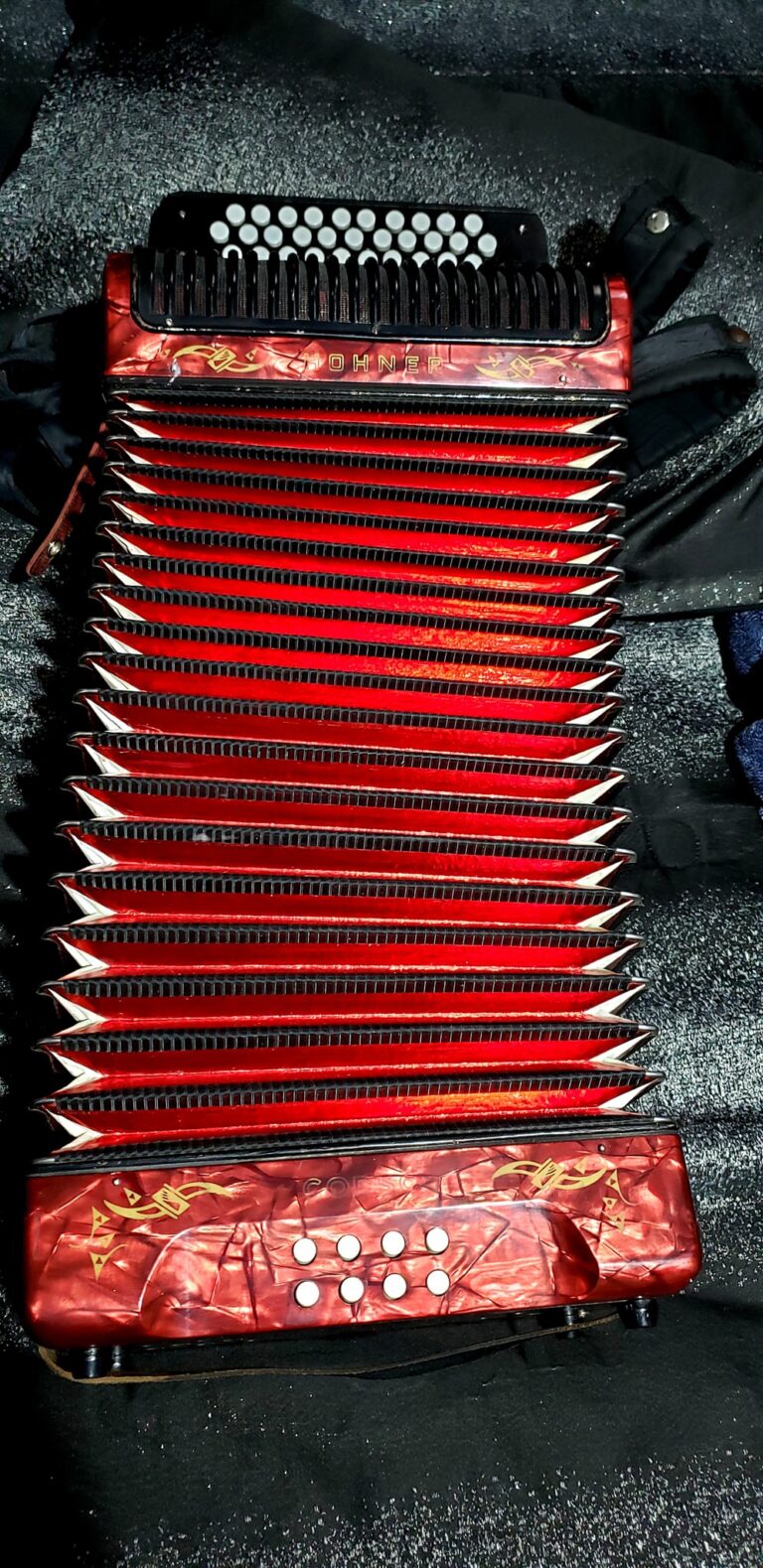 hohner accordion (5)