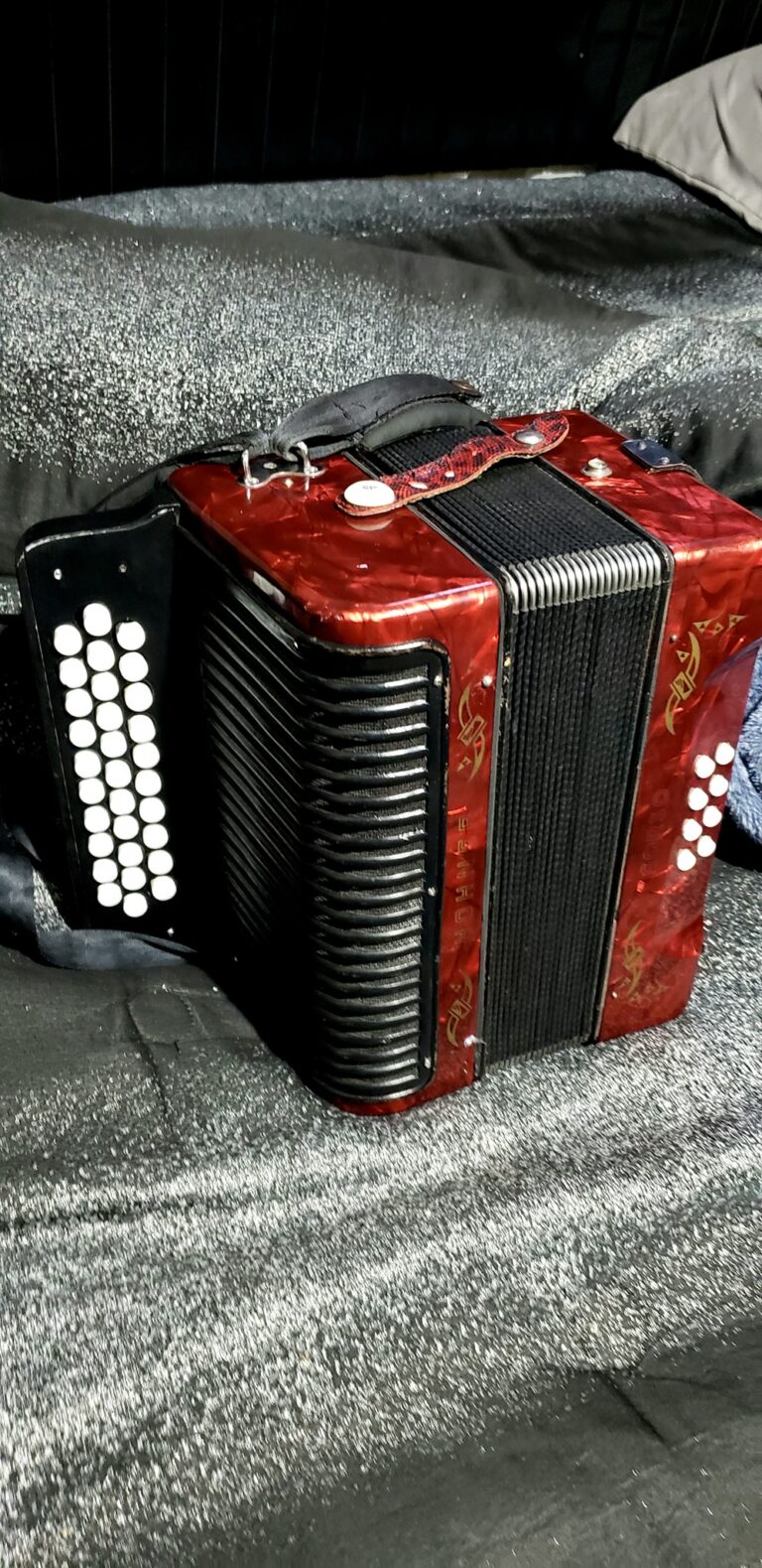 hohner accordion (9)