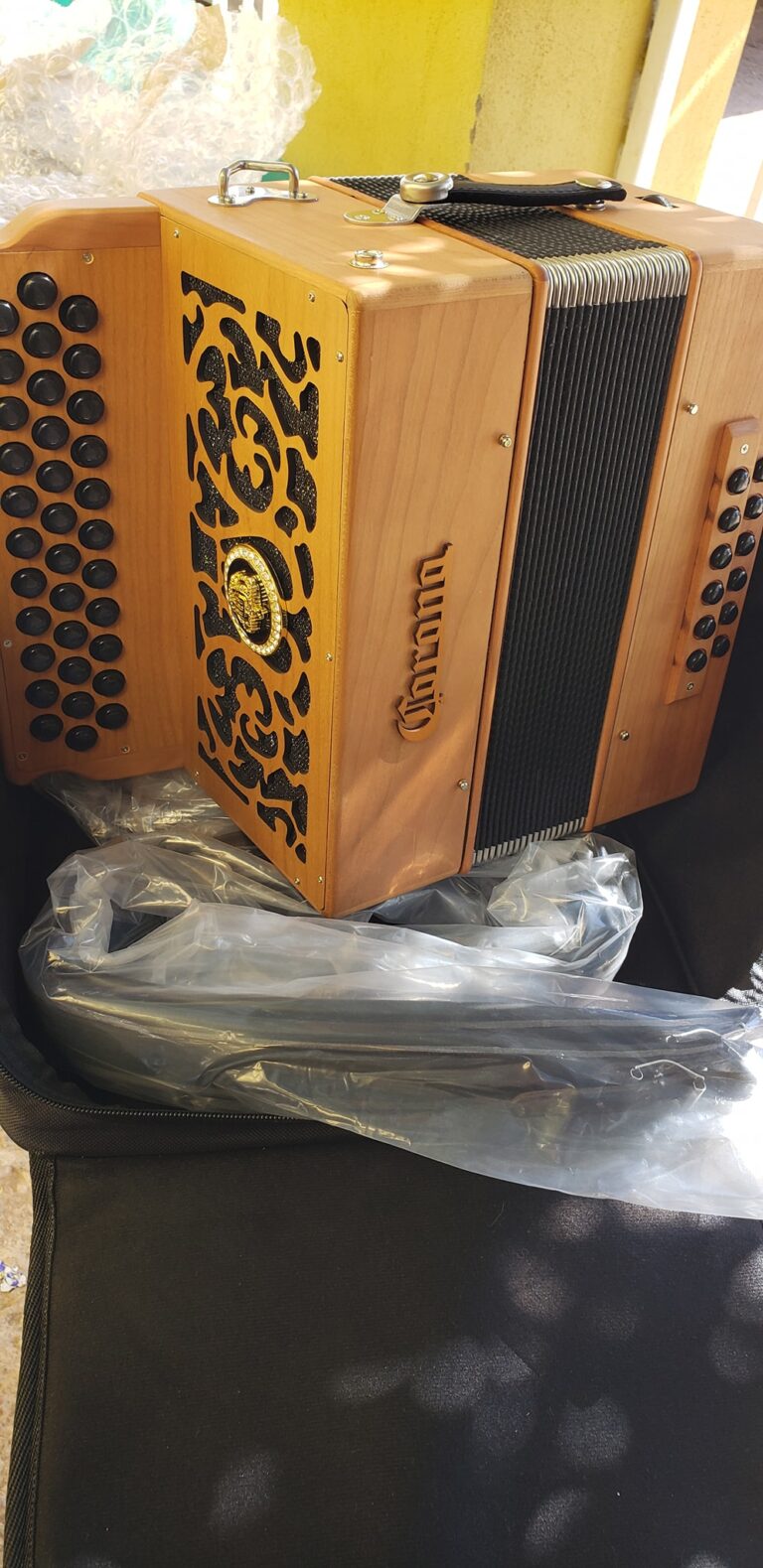 small accordion for sale (2)