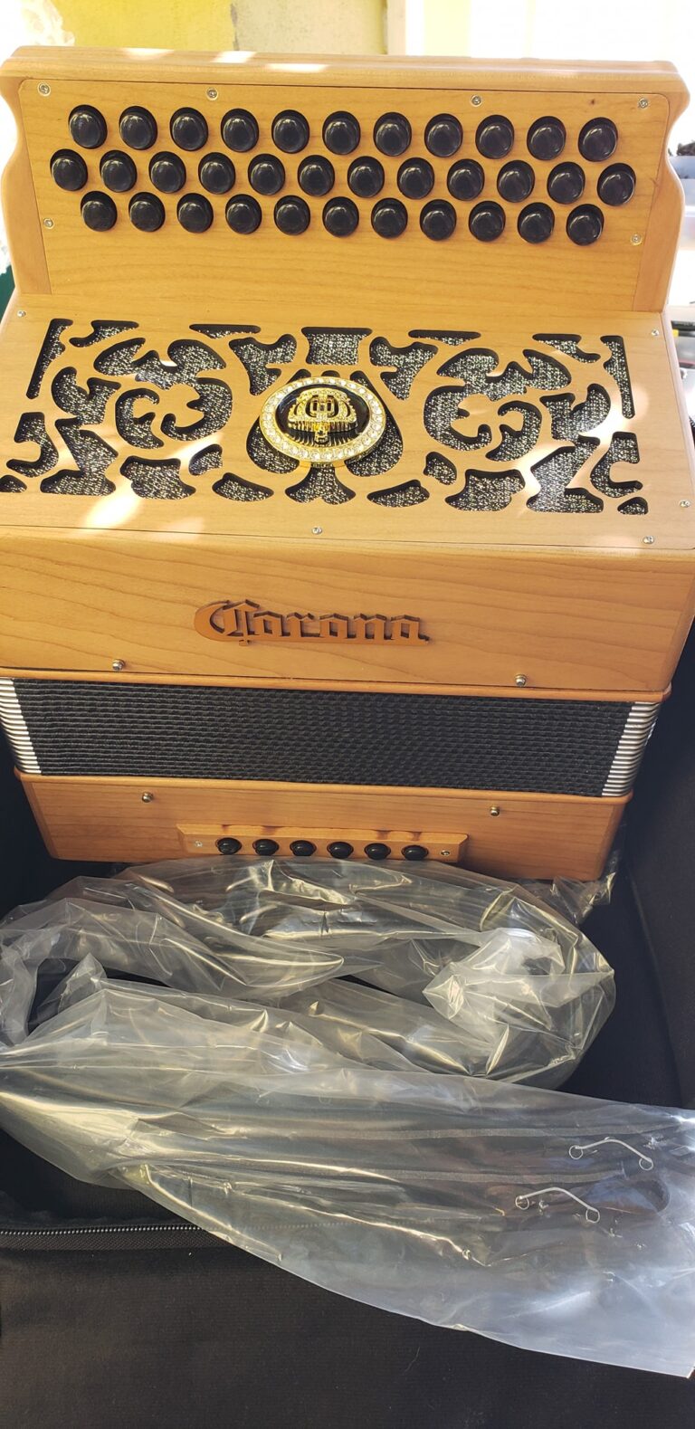 small accordion for sale (5)